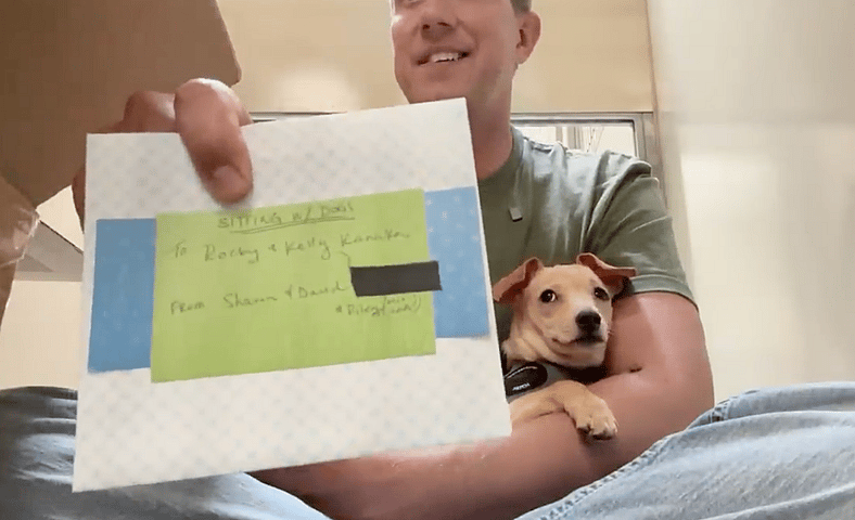 sitting with dogs 92 - pickles